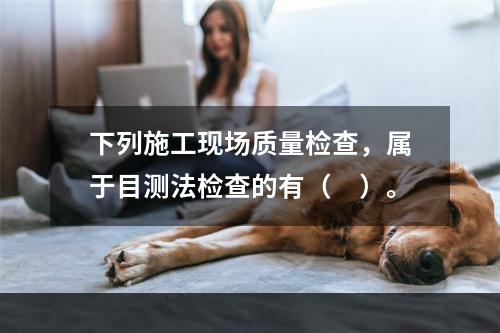 下列施工现场质量检查，属于目测法检查的有（　）。