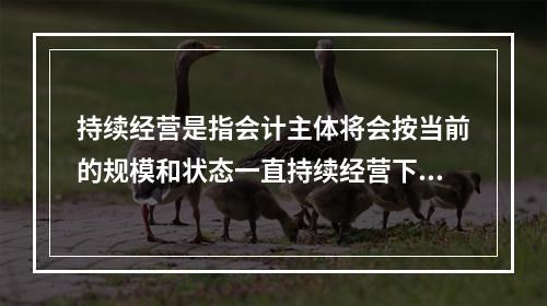 持续经营是指会计主体将会按当前的规模和状态一直持续经营下去，