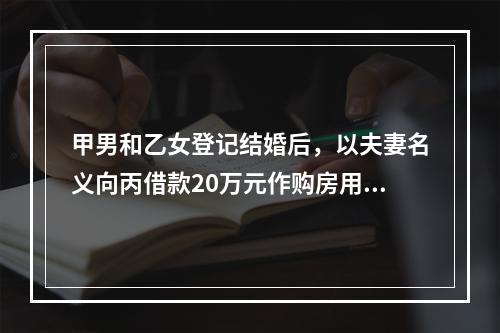 甲男和乙女登记结婚后，以夫妻名义向丙借款20万元作购房用，