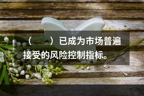 （　　）已成为市场普遍接受的风险控制指标。