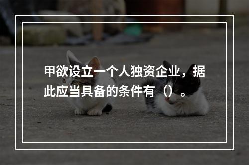 甲欲设立一个人独资企业，据此应当具备的条件有（）。