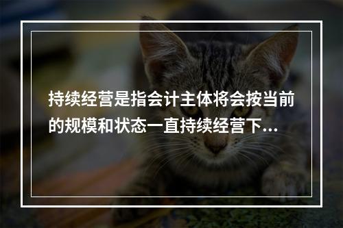 持续经营是指会计主体将会按当前的规模和状态一直持续经营下去，