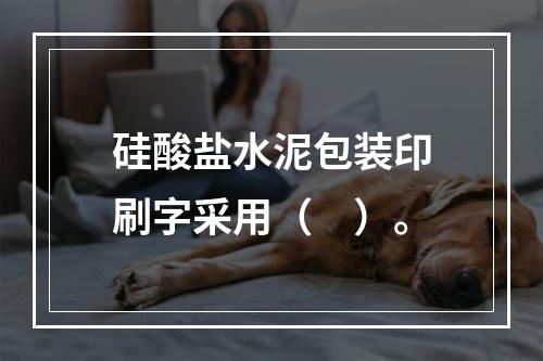 硅酸盐水泥包装印刷字采用（　）。