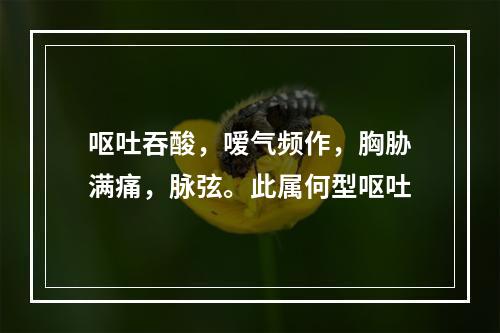 呕吐吞酸，嗳气频作，胸胁满痛，脉弦。此属何型呕吐