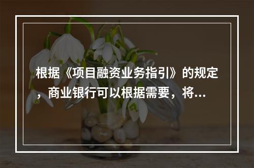 根据《项目融资业务指引》的规定，商业银行可以根据需要，将()