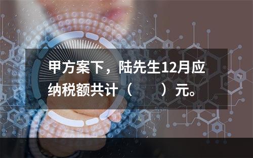 甲方案下，陆先生12月应纳税额共计（　　）元。