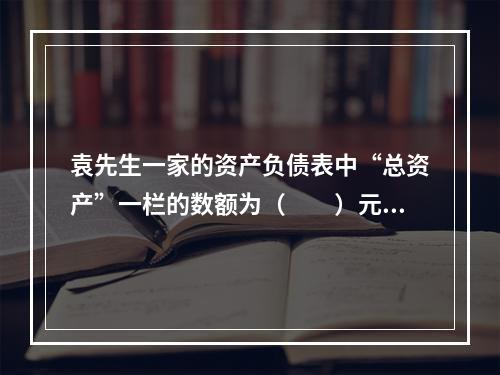 袁先生一家的资产负债表中“总资产”一栏的数额为（　　）元。