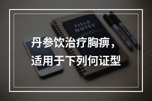 丹参饮治疗胸痹，适用于下列何证型