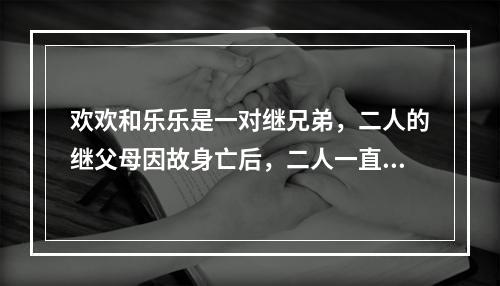 欢欢和乐乐是一对继兄弟，二人的继父母因故身亡后，二人一直相