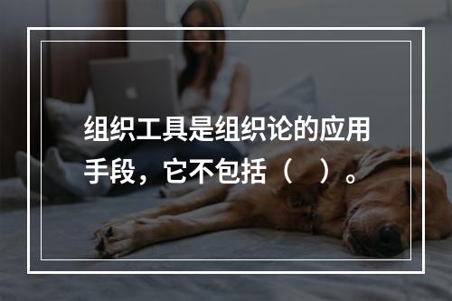 组织工具是组织论的应用手段，它不包括（　）。