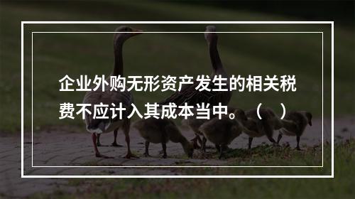 企业外购无形资产发生的相关税费不应计入其成本当中。（　）