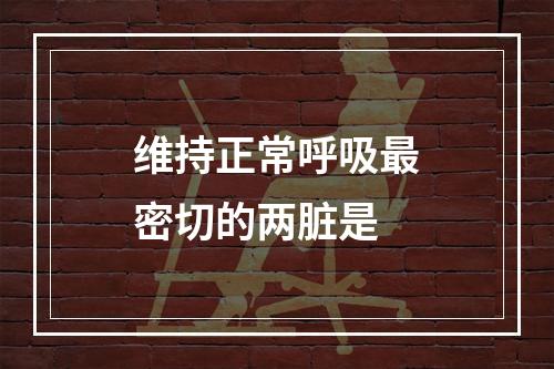 维持正常呼吸最密切的两脏是