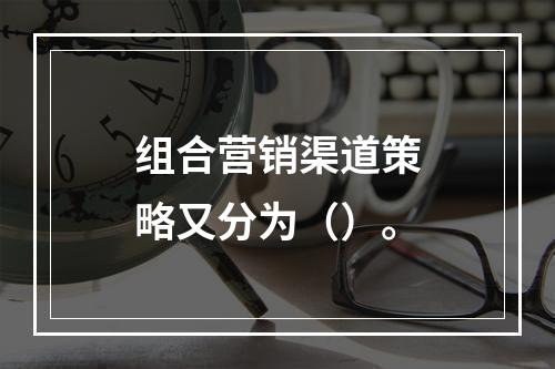 组合营销渠道策略又分为（）。