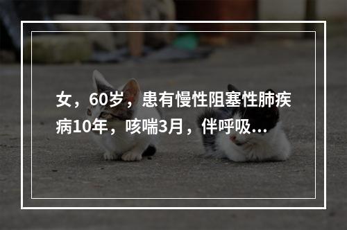 女，60岁，患有慢性阻塞性肺疾病10年，咳喘3月，伴呼吸气短