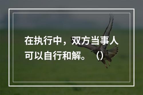 在执行中，双方当事人可以自行和解。（）