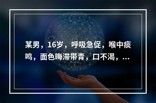 某男，16岁，呼吸急促，喉中痰鸣，面色晦滞带青，口不渴，形寒