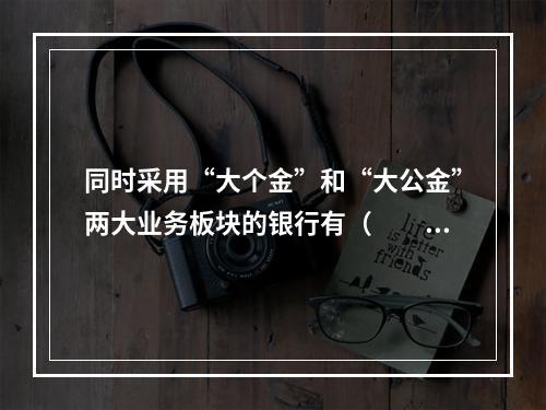 同时采用“大个金”和“大公金”两大业务板块的银行有（　　）。