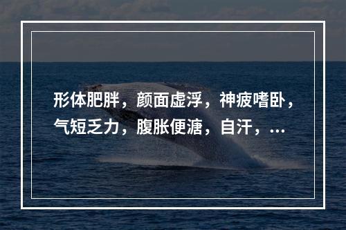 形体肥胖，颜面虚浮，神疲嗜卧，气短乏力，腹胀便溏，自汗，气喘