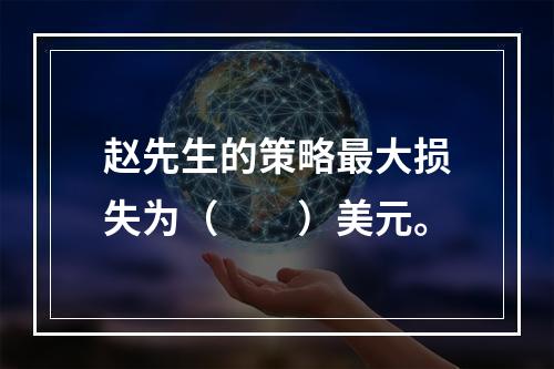 赵先生的策略最大损失为（　　）美元。