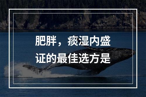 肥胖，痰湿内盛证的最佳选方是