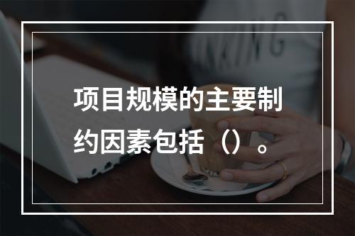 项目规模的主要制约因素包括（）。