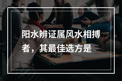 阳水辨证属风水相搏者，其最佳选方是