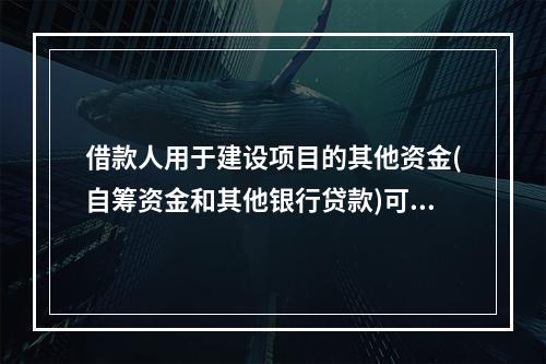 借款人用于建设项目的其他资金(自筹资金和其他银行贷款)可不与