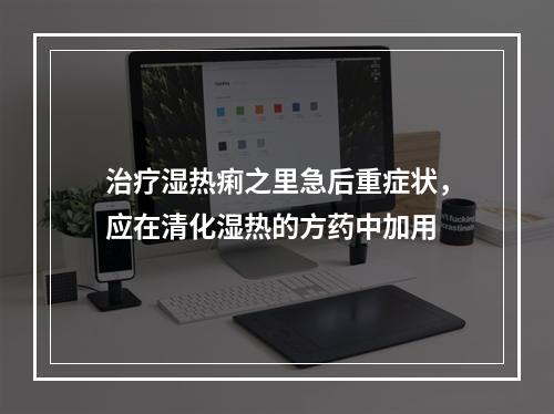 治疗湿热痢之里急后重症状，应在清化湿热的方药中加用