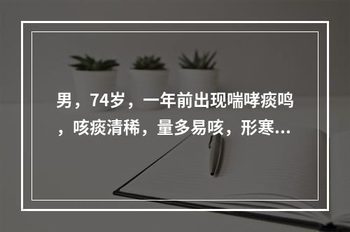 男，74岁，一年前出现喘哮痰鸣，咳痰清稀，量多易咳，形寒肢冷