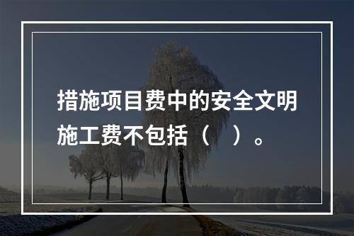 措施项目费中的安全文明施工费不包括（　）。