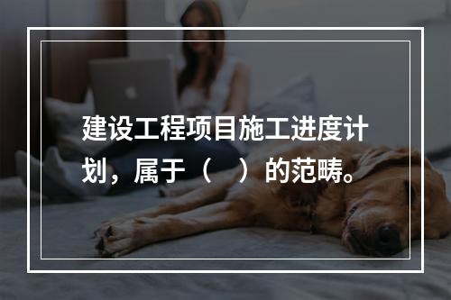 建设工程项目施工进度计划，属于（　）的范畴。