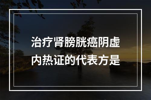 治疗肾膀胱癌阴虚内热证的代表方是