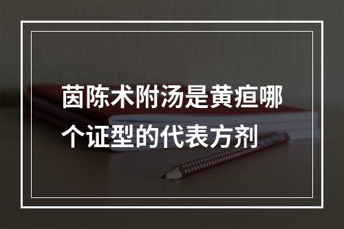 茵陈术附汤是黄疸哪个证型的代表方剂