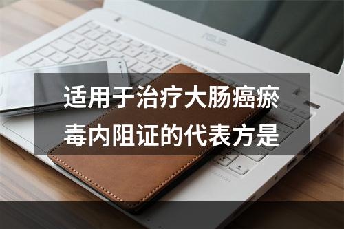 适用于治疗大肠癌瘀毒内阻证的代表方是