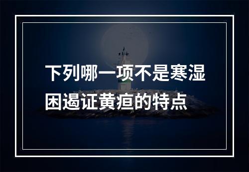 下列哪一项不是寒湿困遏证黄疸的特点