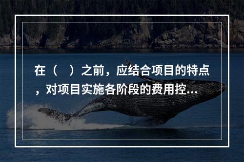 在（　）之前，应结合项目的特点，对项目实施各阶段的费用控制、