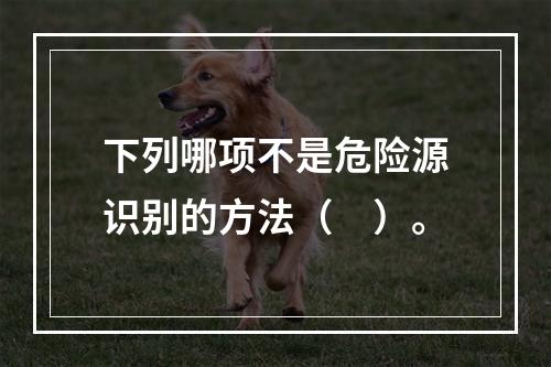 下列哪项不是危险源识别的方法（　）。