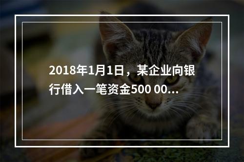 2018年1月1日，某企业向银行借入一笔资金500 000元