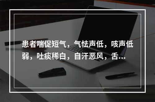 患者喘促短气，气怯声低，咳声低弱，吐痰稀白，自汗恶风，舌淡，