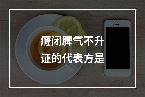 癃闭脾气不升证的代表方是