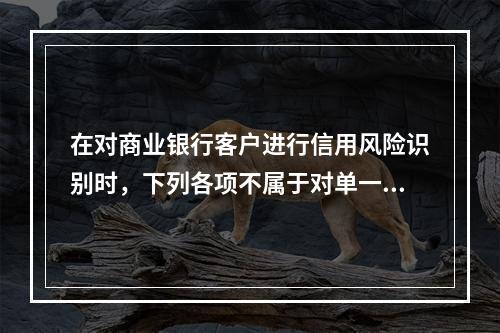 在对商业银行客户进行信用风险识别时，下列各项不属于对单一法人