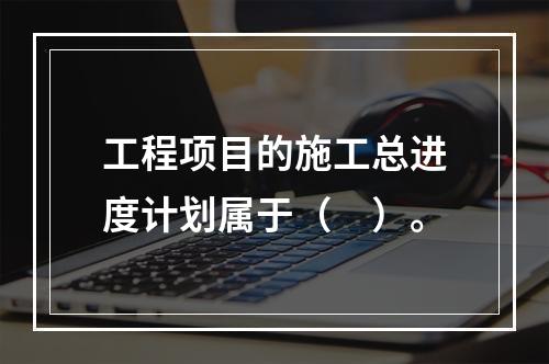 工程项目的施工总进度计划属于（　）。