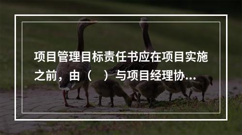 项目管理目标责任书应在项目实施之前，由（　）与项目经理协商制