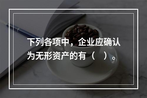 下列各项中，企业应确认为无形资产的有（　）。