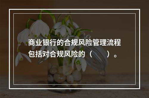 商业银行的合规风险管理流程包括对合规风险的（　　）。