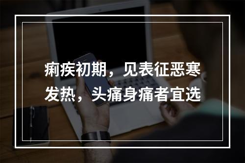 痢疾初期，见表征恶寒发热，头痛身痛者宜选