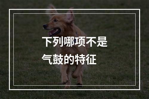 下列哪项不是气鼓的特征