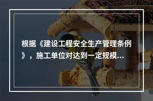 根据《建设工程安全生产管理条例》，施工单位对达到一定规模的危