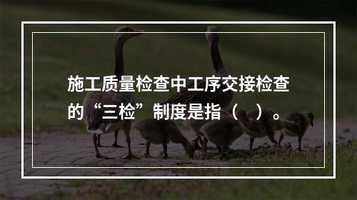 施工质量检查中工序交接检查的“三检”制度是指（　）。