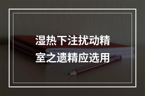 湿热下注扰动精室之遗精应选用